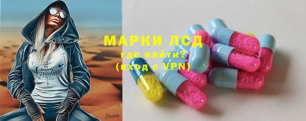 шишки Кукмор