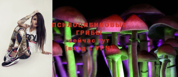 гидра Лабытнанги