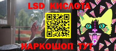 спиды Донской