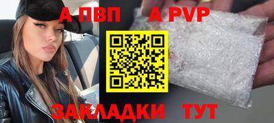 спиды Донской