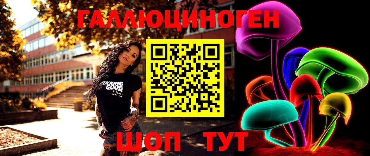 Псилоцибиновые грибы Cubensis  купить  сайты  Мелеуз 