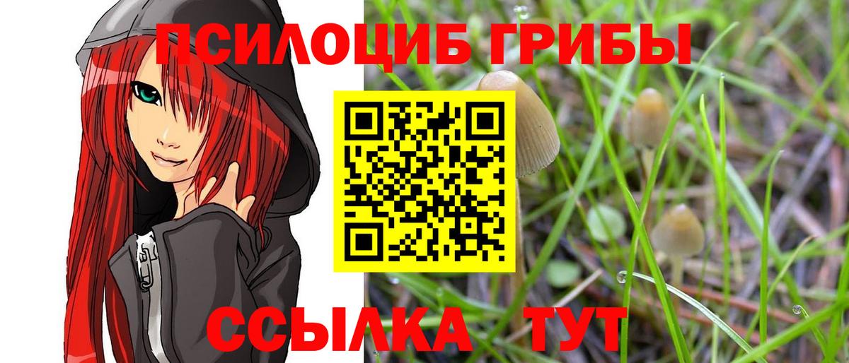 Галлюциногенные грибы GOLDEN TEACHER Мелеуз