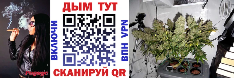 Бошки Шишки гибрид цена наркотик Мелеуз